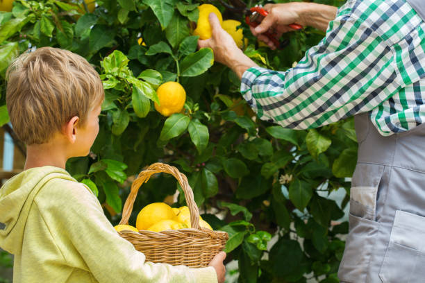Farmer with child, Amalfi Lemon Tour - Living Amalfi