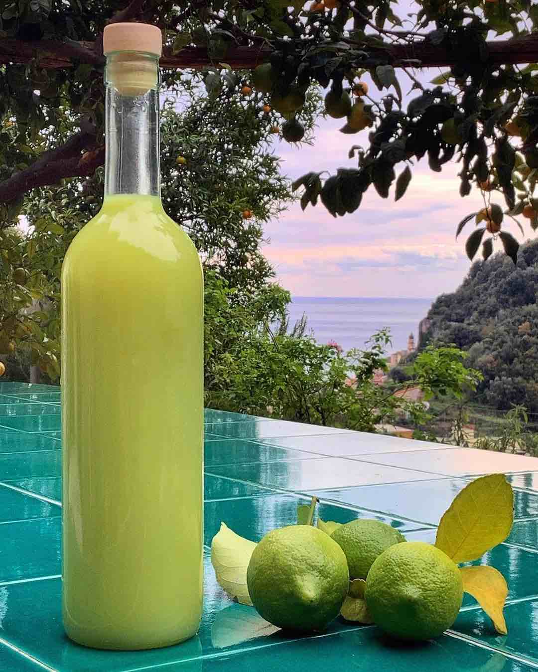 Producing Limoncello bottles, Amalfi Lemon Tour - Living Amalfi